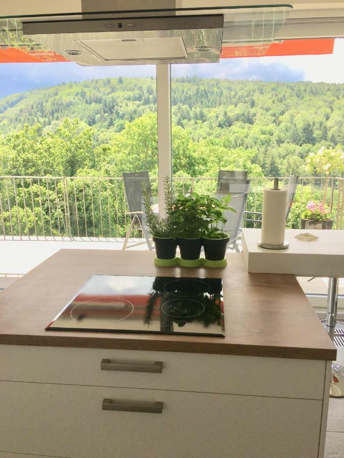 Apartment Am Kupferhammer Pforzheim Dış mekan fotoğraf